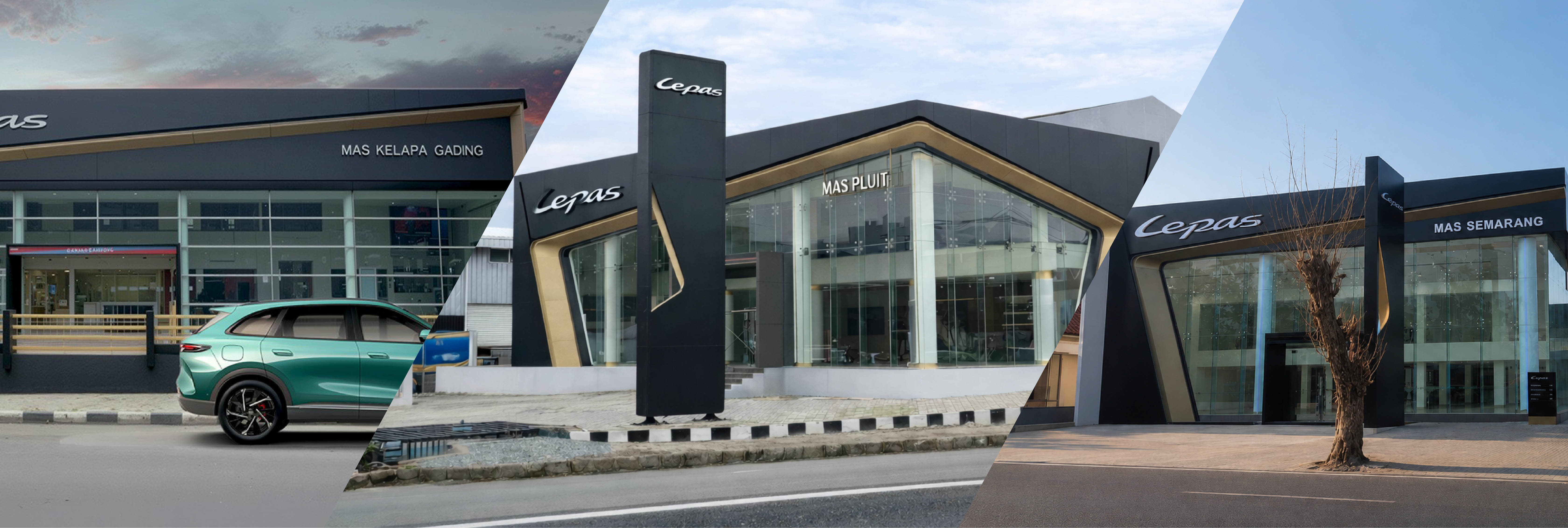 LEPAS MAS GROUP Dealers